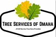 tree-services-of-omaha