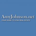 amy-johnson-real-estate-llc