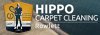 hippo-carpet-cleaning-rowlett