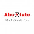 absolute-bed-bug-control