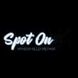 spot-on-windshield-repair