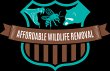 affordable-wildlife-removal-orlando