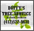 duffy-s-tree-service-pittsburgh-pa