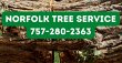 tree-service-norfolk