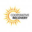 cooperative-recovery
