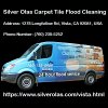 silver-olas-carpet-tile-flood-cleaning