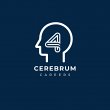 4-cerebrum-careers