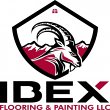 ibex-flooring-and-painting