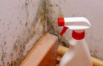 mold-experts-of-roswell