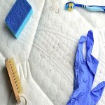 mold-experts-of-clarksville