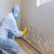 louisville-mold-removal