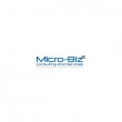 micro-biz-consulting-services-llc