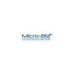 micro-biz-consulting-services-llc