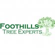 foothills-tree-experts