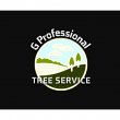 g-professional-tree-service