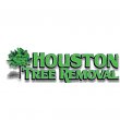 houston-tree-removal