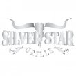 silver-star-grille