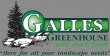 galles-greenhouse