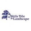 wells-tree-and-landscape