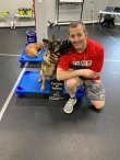sit-means-sit-dog-training-of-fairfield
