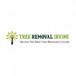 tree-removal-irvine