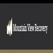 mountain-view-recovery