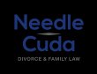 needle-cuda-divorce-and-family-law