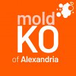 mold-ko-of-alexandria