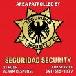 seguridad-security