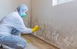 the-mold-inspectors-of-vancouver