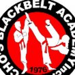 cho-s-black-belt-academy
