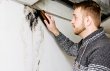frampton-place-mold-removal-experts