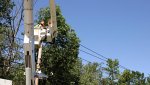 abq-tree-removal-co