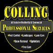colling-professional-services