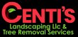 centi-s-landscaping-llc-tree-removal-services