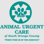 animal-urgent-care-of-south-orange-county