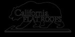 california-flat-roofs