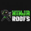 ninja-roofs