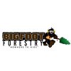 bigfoot-forestry---rock-hill