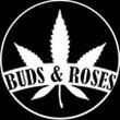 buds-roses