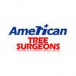 american-tree-surgeons