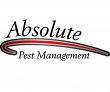 absolute-pest-management