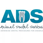 animal-dental-services