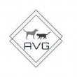 astoria-veterinary-group
