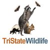 tristate-wildlife
