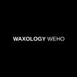 waxology-weho-body-waxing