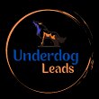 underdog-leads