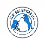 blue-dog-moving