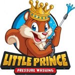 little-prince-pressure-washing