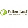 fallen-leaf-tree-management